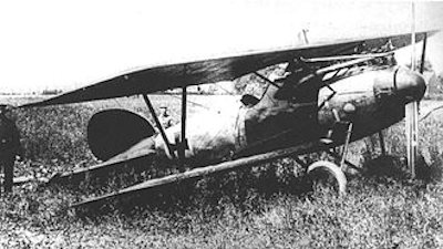 Damaged Albatros.